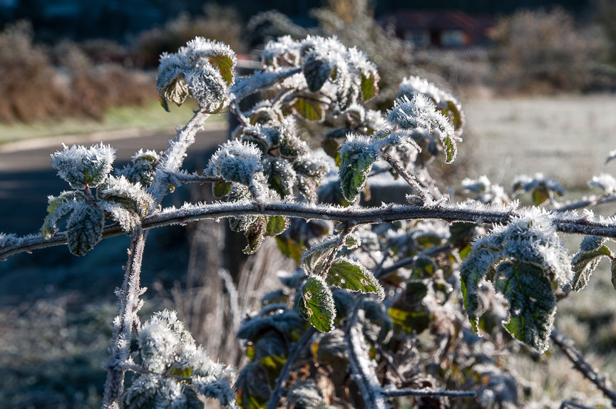 C 2013-12-08-04 